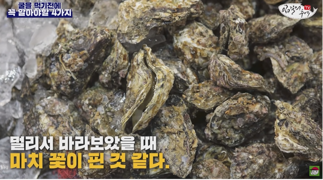 김짤.com_003.jpg