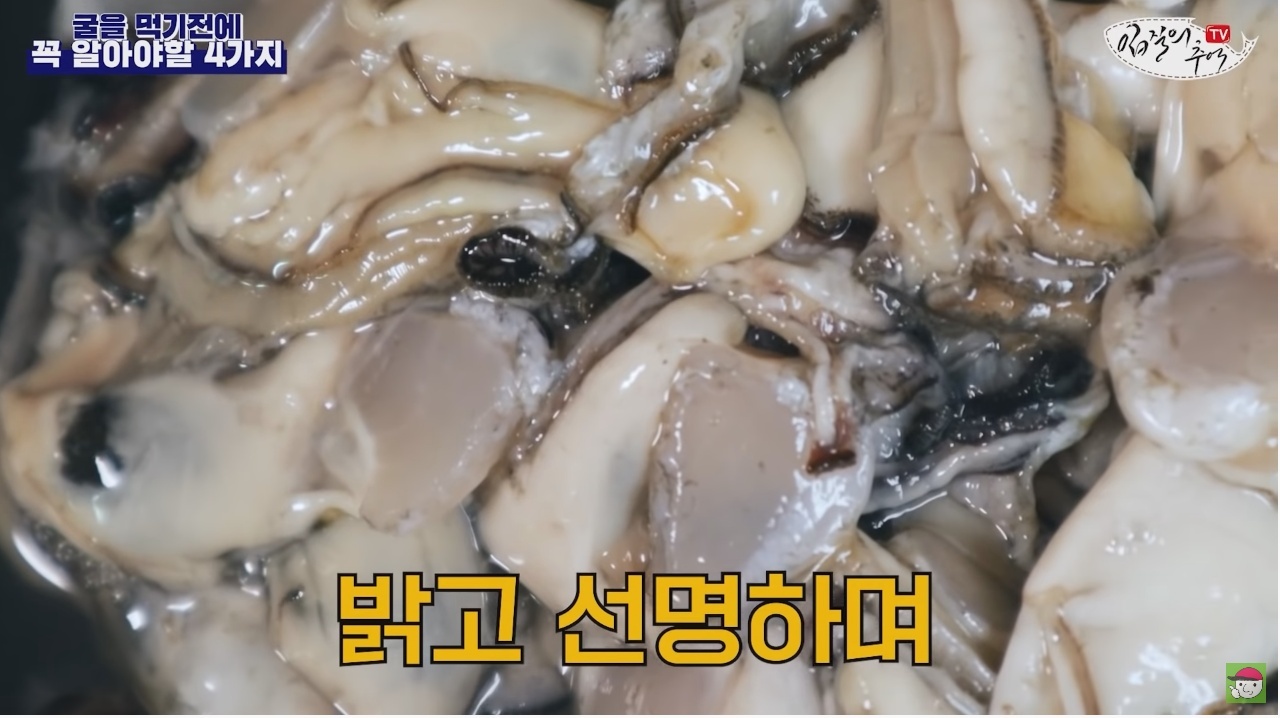 김짤.com_016.jpg