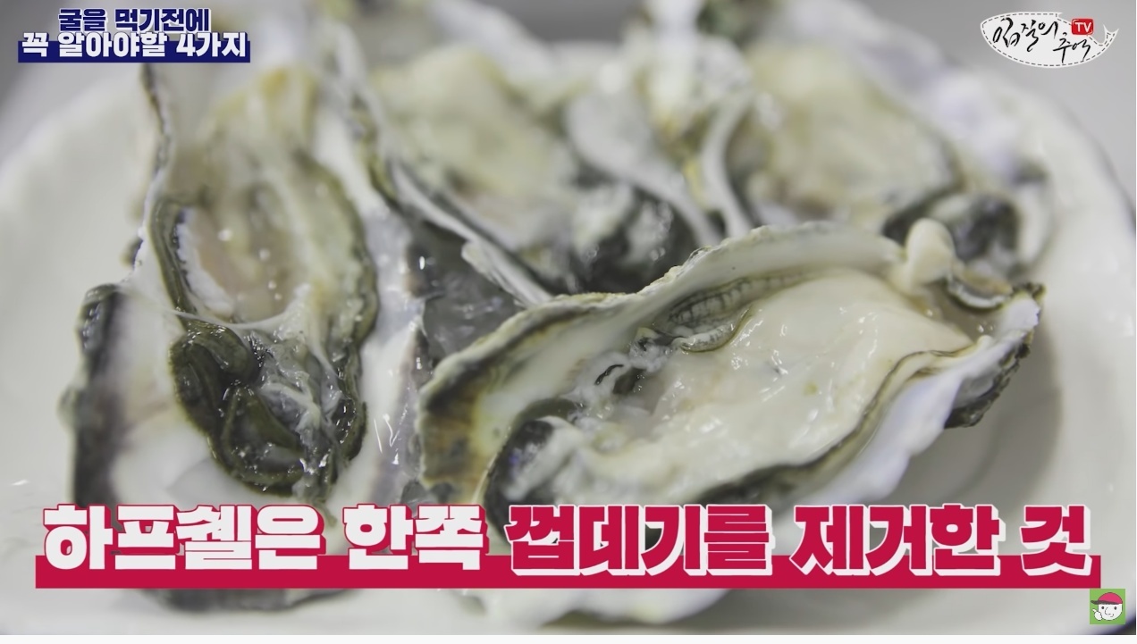 김짤.com_006.jpg