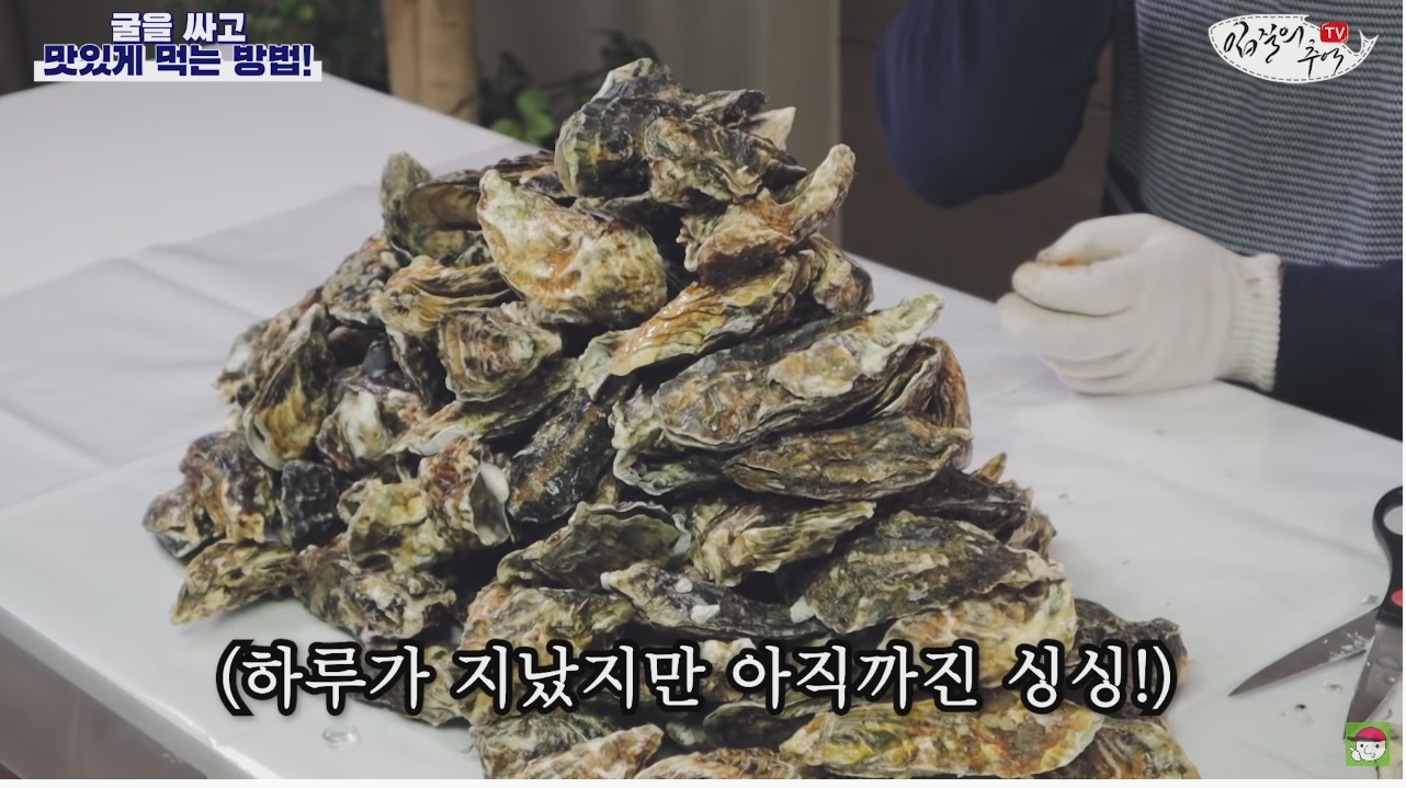 김짤.com_043.jpg