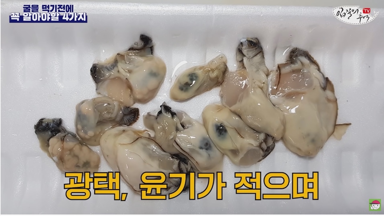 김짤.com_029.jpg
