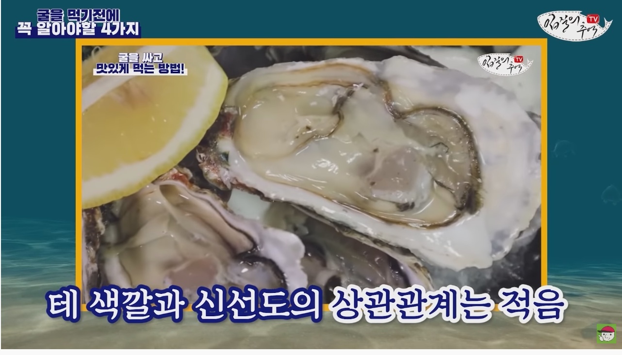 김짤.com_026.jpg