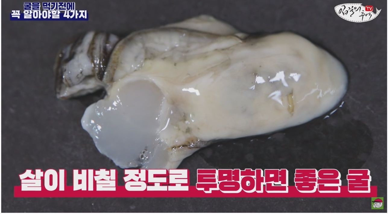 김짤.com_019.jpg