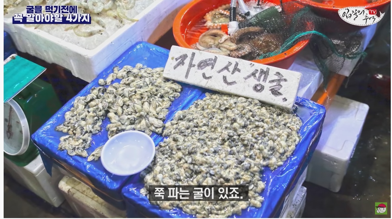 김짤.com_011.jpg
