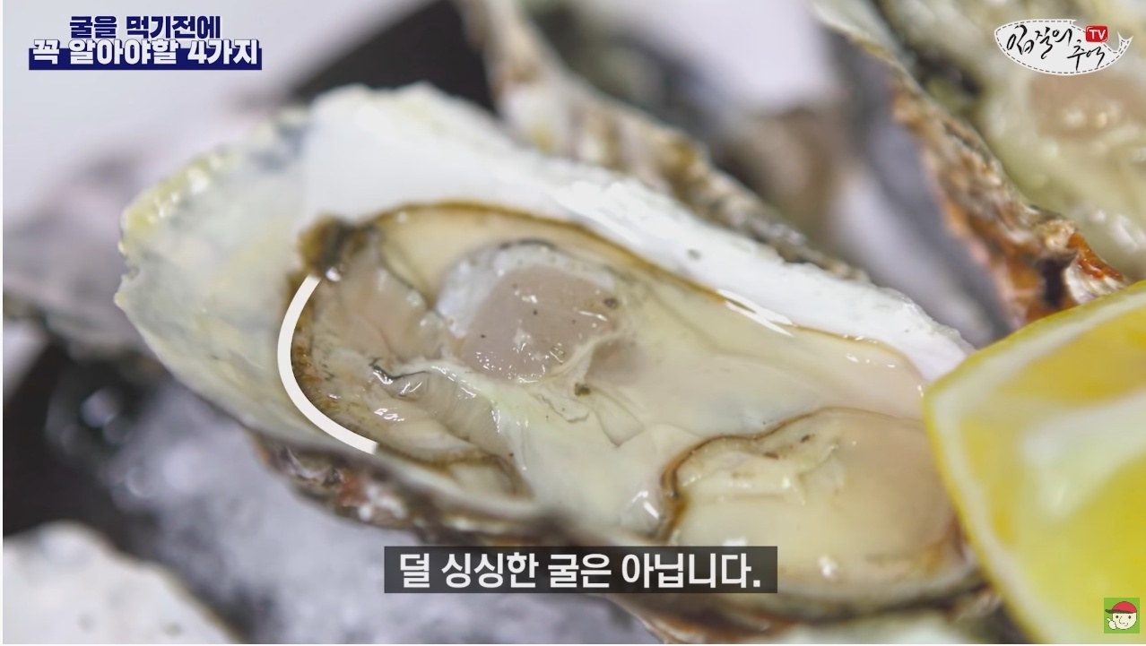 김짤.com_025.jpg