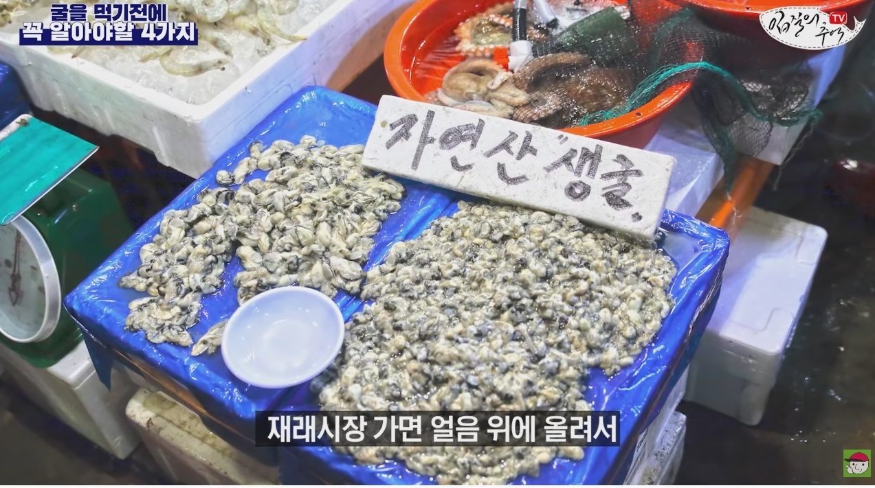 김짤.com_010.jpg