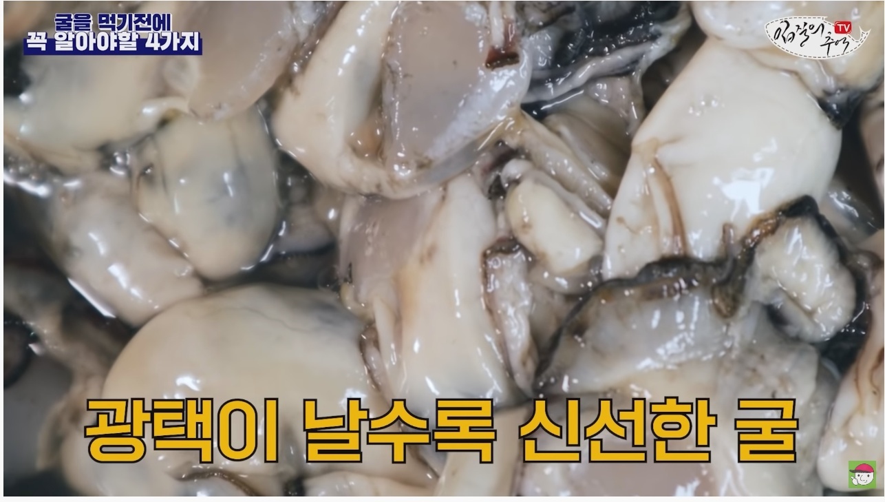김짤.com_018.jpg