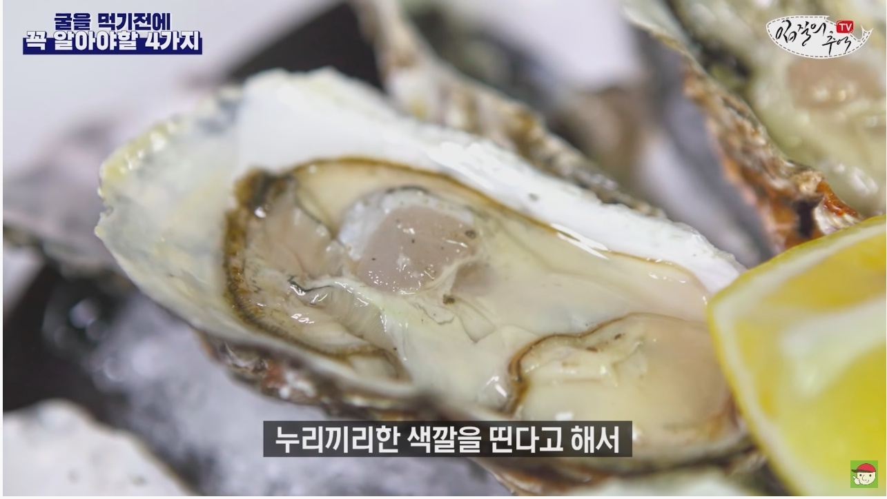 김짤.com_024.jpg