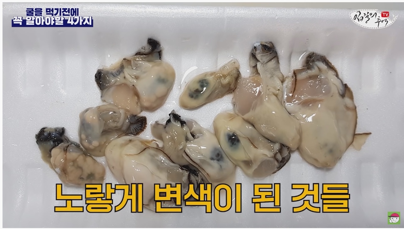 김짤.com_030.jpg