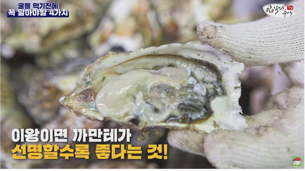 김짤.com_027.jpg