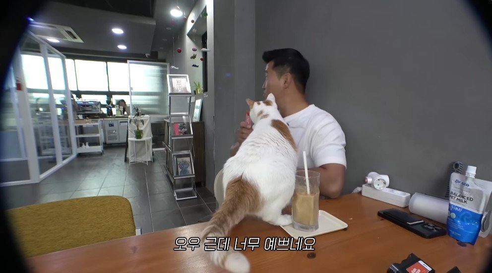 강형욱의 충격적인 배신 ㄷㄷ
