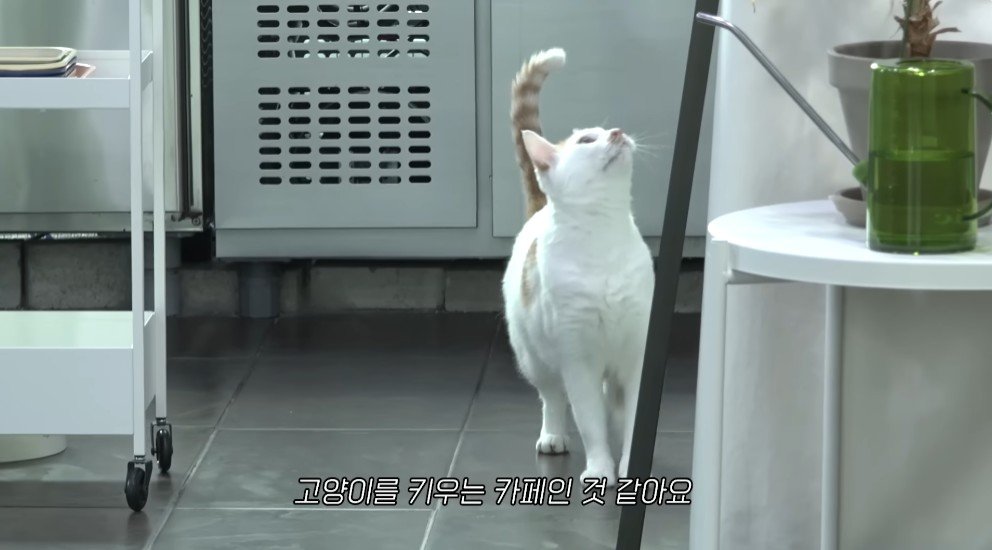 강형욱의 충격적인 배신 ㄷㄷ