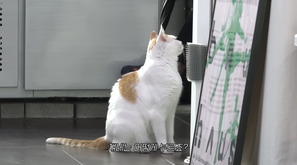 강형욱의 충격적인 배신 ㄷㄷ