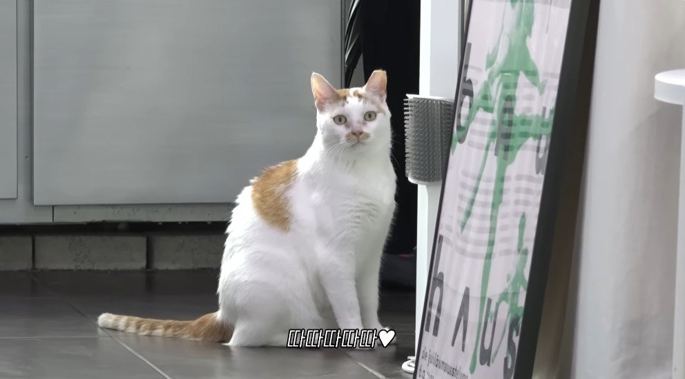 강형욱의 충격적인 배신 ㄷㄷ