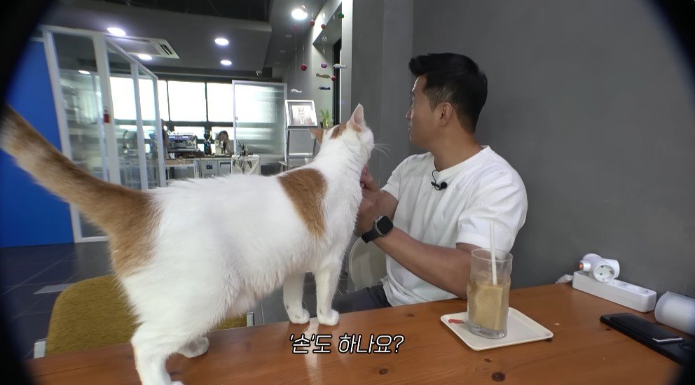 강형욱의 충격적인 배신 ㄷㄷ
