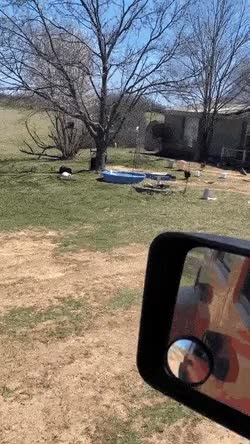 4B4VqQzJteuaQSmIskcUOO.gif