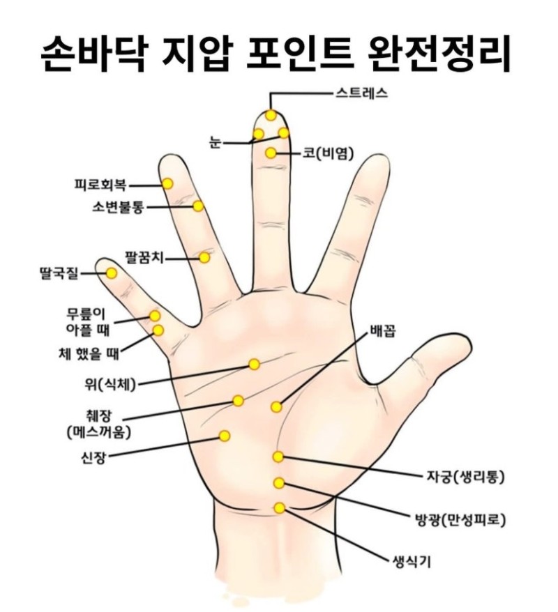 손바닥 지압 포인트