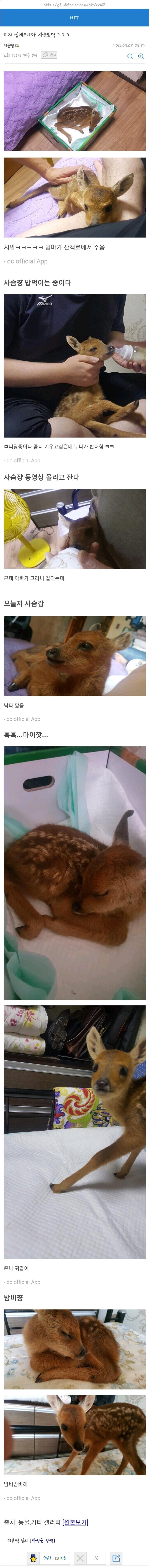 25925262cb98d374f2830e9137cead29.jpg 미친 집에 오니까 사슴있닼ㅋㅋㅋ 미친 집에 오니까 사슴있닼ㅋㅋㅋ..jpg