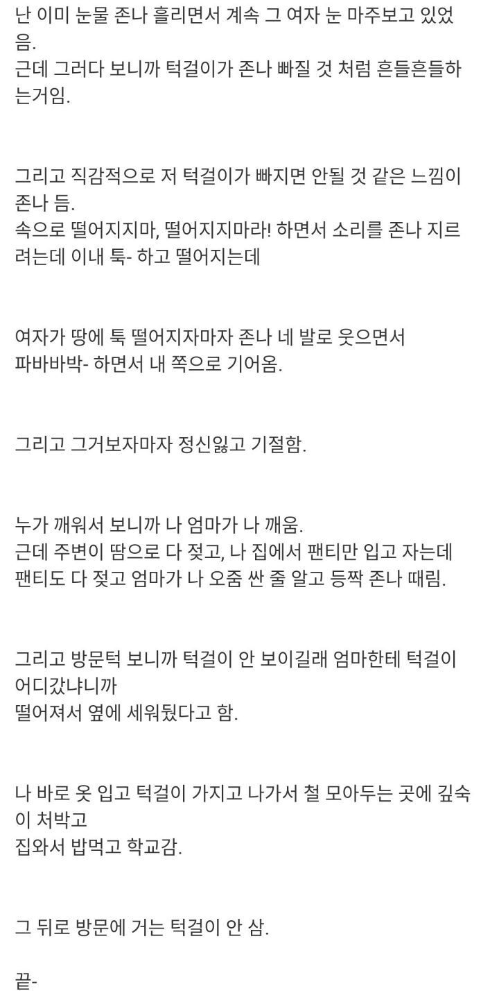 나본다! 나본다! 나본다! | 인스티즈