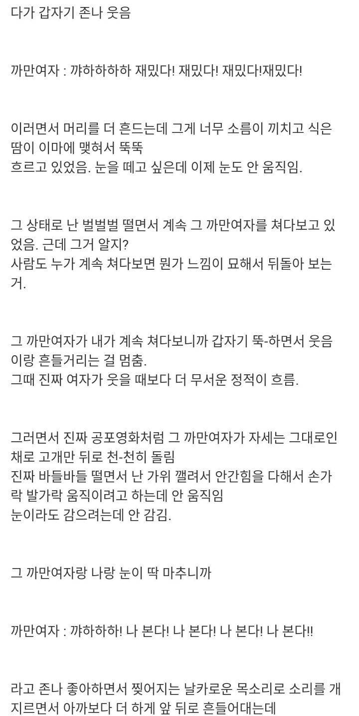 나본다! 나본다! 나본다! | 인스티즈