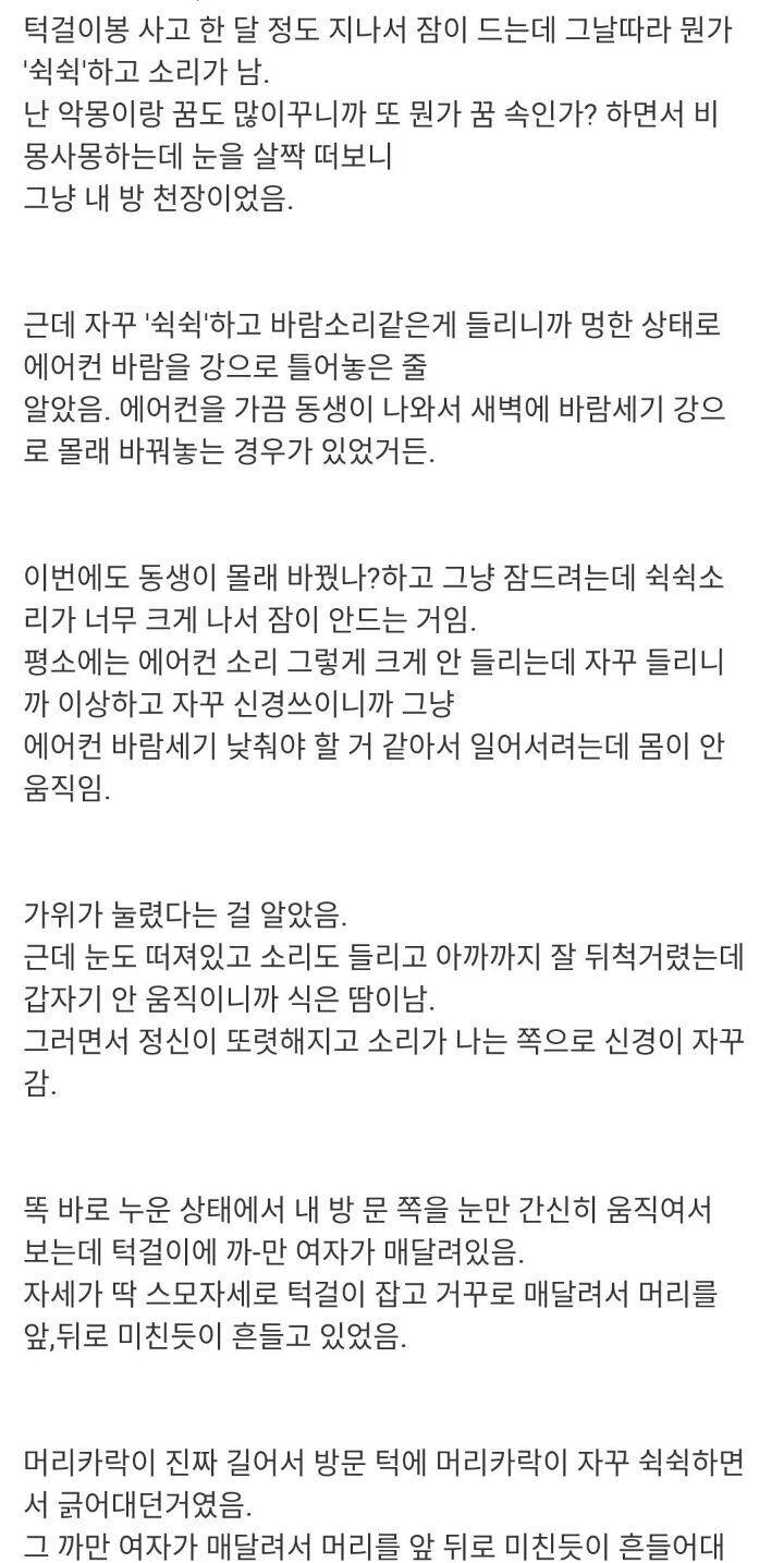 나본다! 나본다! 나본다! | 인스티즈