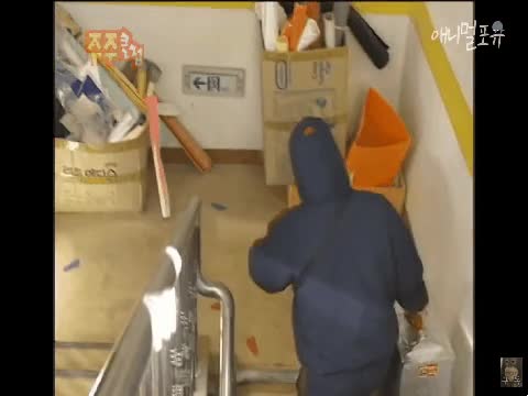 e_scaa4ff001_af0b048ded4f48e15ffffb6ec20444b12aa2afa1.gif