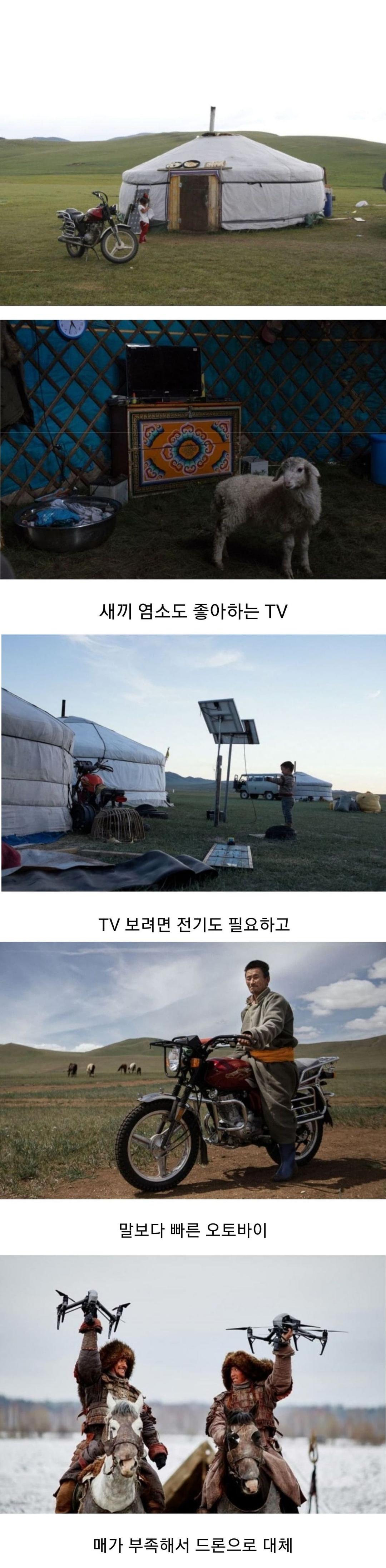 몽골.png.jpg