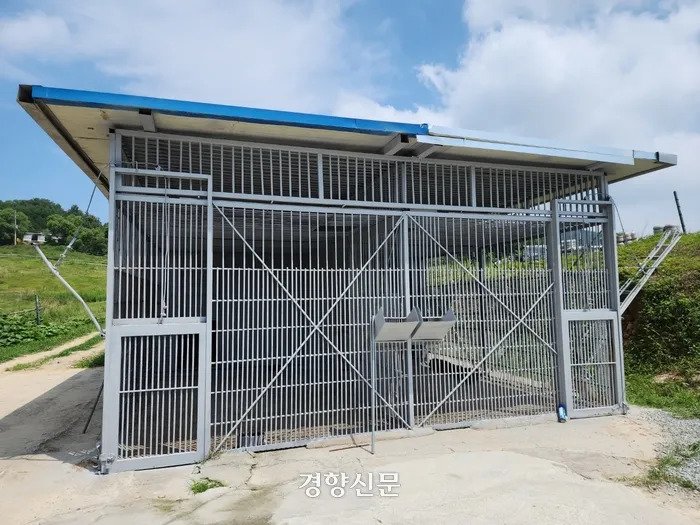 2.webp.ren.jpg 평생 갇혀살던 사자가 탈출해서 한 것