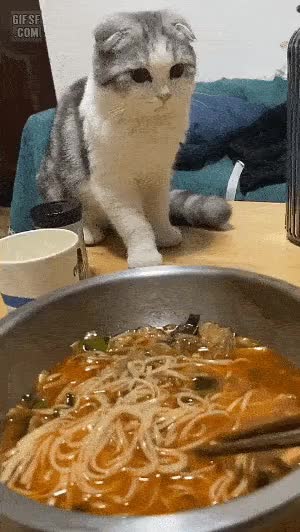 1611895676.gif