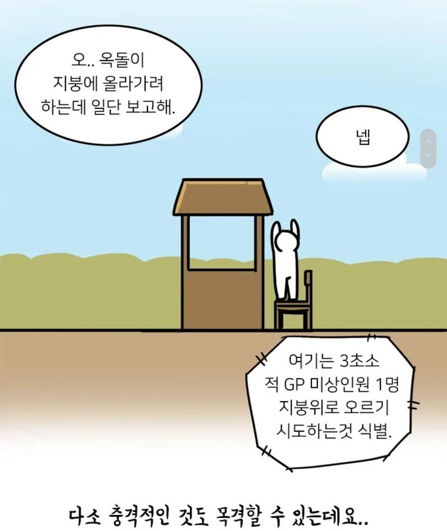 17c90bd8483548c0c.jpg