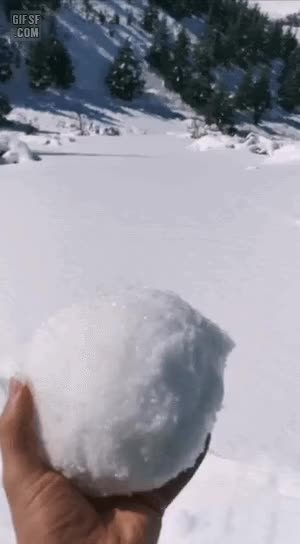 e8d9c04f9422e454c8396be8a849eea7_1644110941_2333.gif