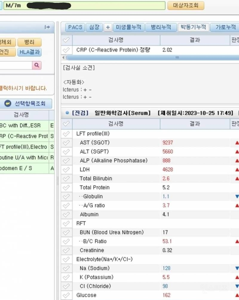 김짤.com_003.png