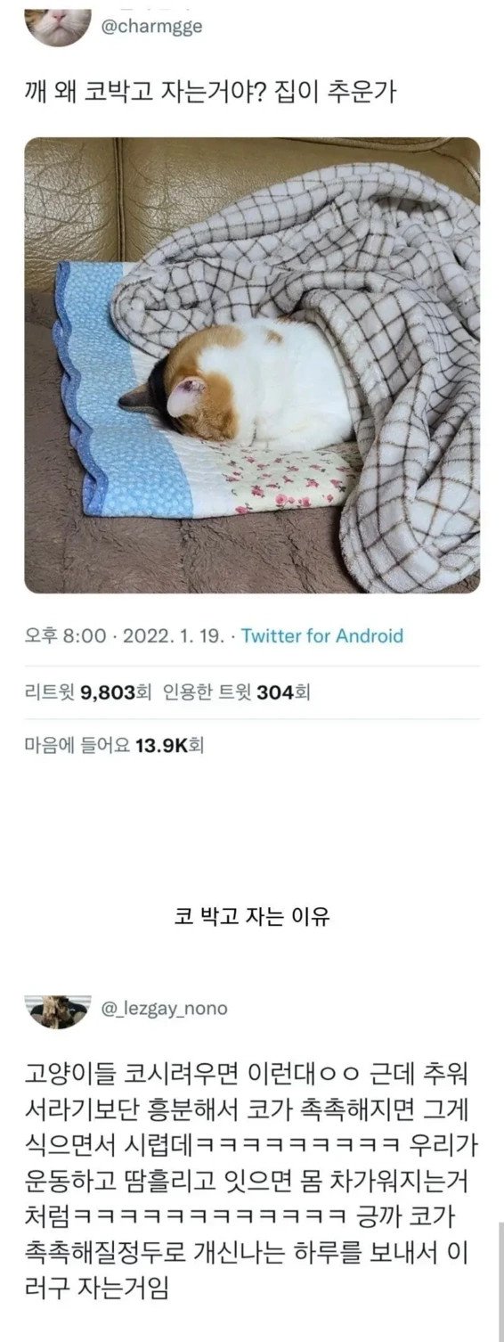 김짤.com_001.jpg