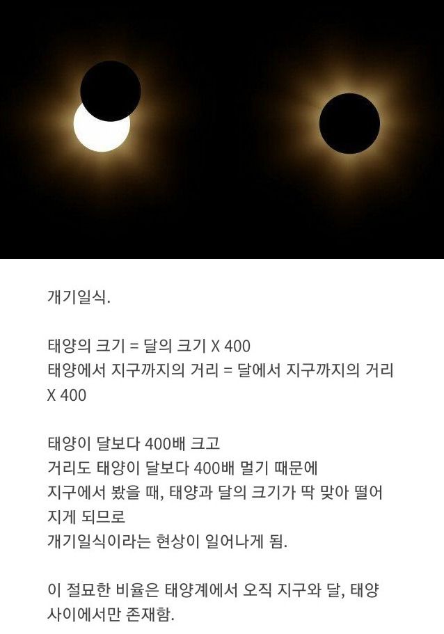 45124917004534110.jpg