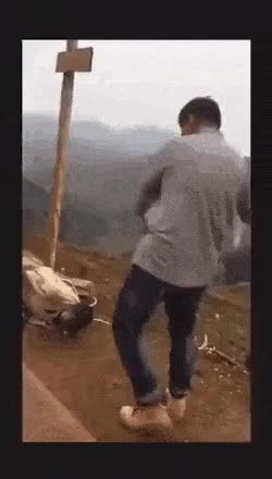 a31f9dd41a9443599c120baba10f525d.gif
