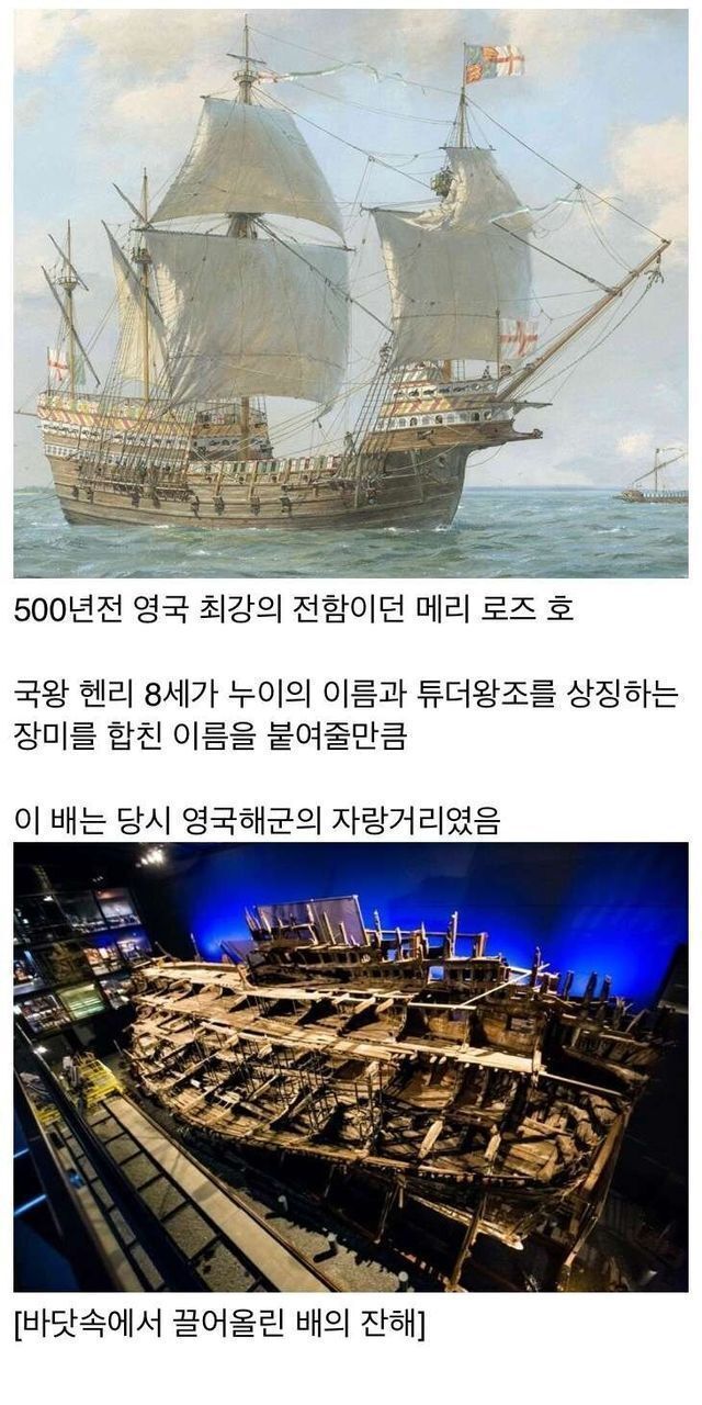500년만에 발견된 영국 배 ㄷㄷ....JPG 500년만에 발견된 영국 배 ㄷㄷ....JPG