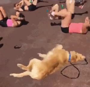 ea0a413161520c110e32b08e481ba8486e38b8f1.gif