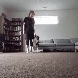 7cb6003d157cd965c506e8c1a093d1a4c464535c.gif