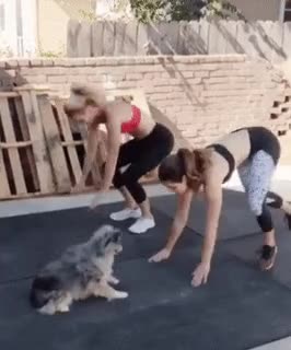 9ea31e798144985c8ccac0d809734bd1165c86f7.gif