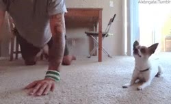 b27aab55c0182e6dd989e30b1321700baaeba36a.gif
