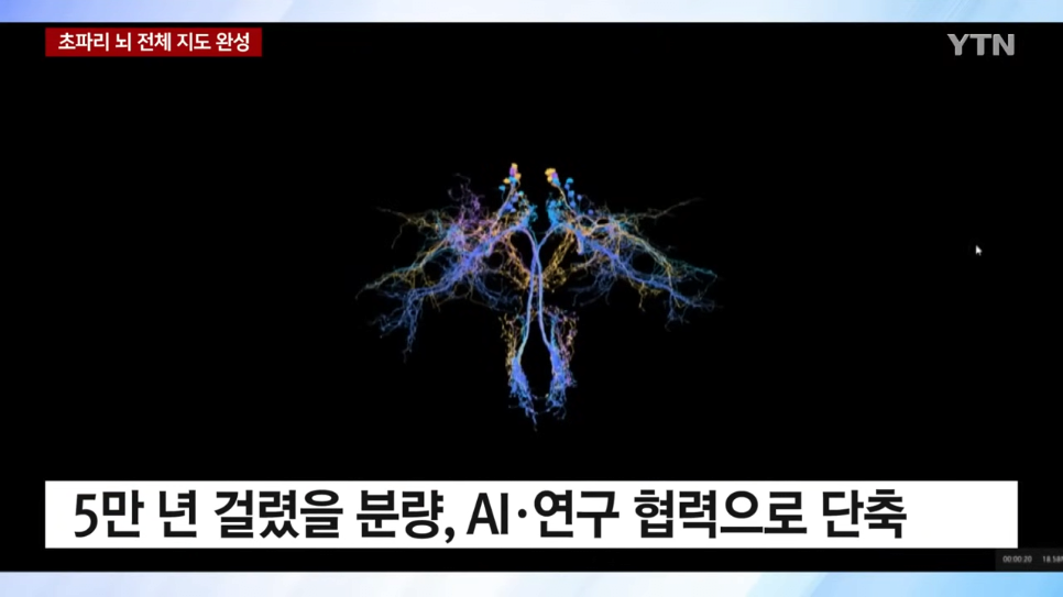 초파리 뇌 전체 지도 완성했다