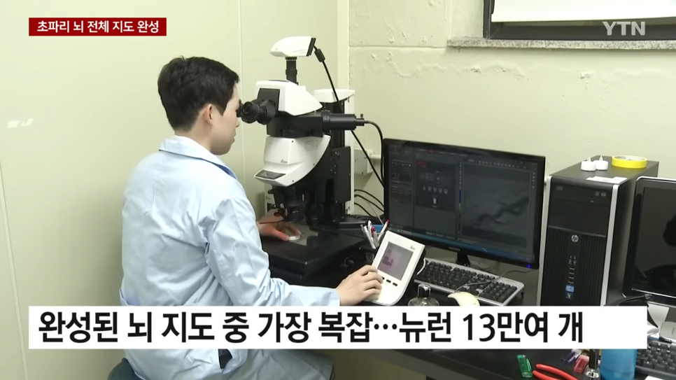 초파리 뇌 전체 지도 완성했다