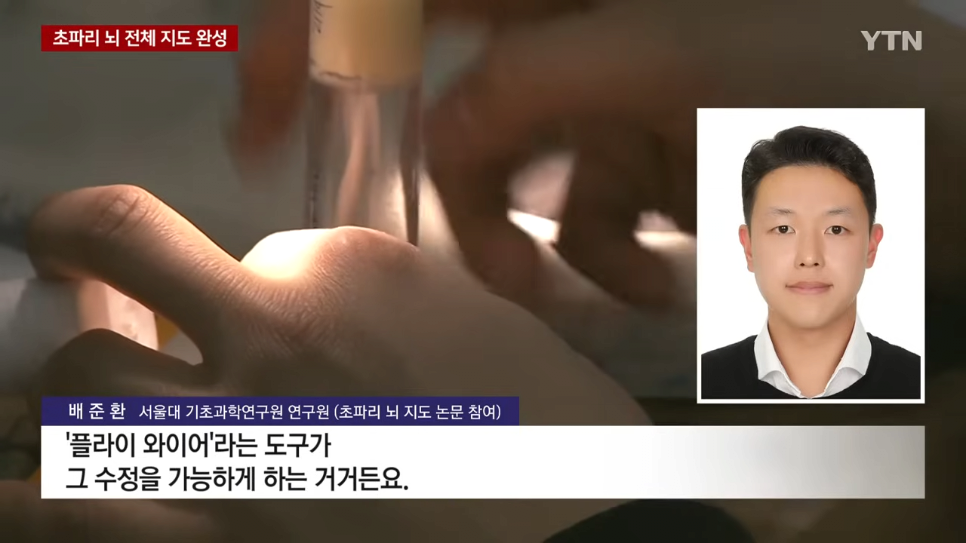 초파리 뇌 전체 지도 완성했다