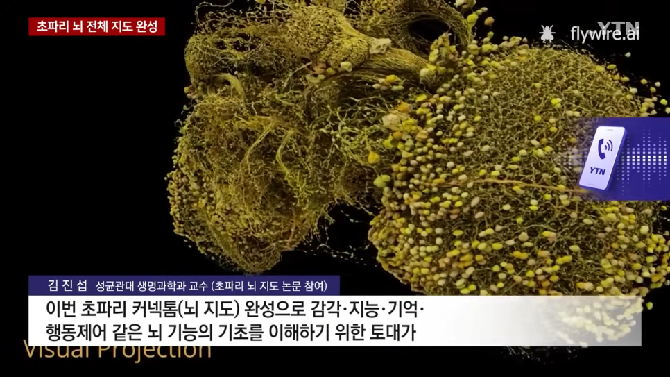 초파리 뇌 전체 지도 완성했다