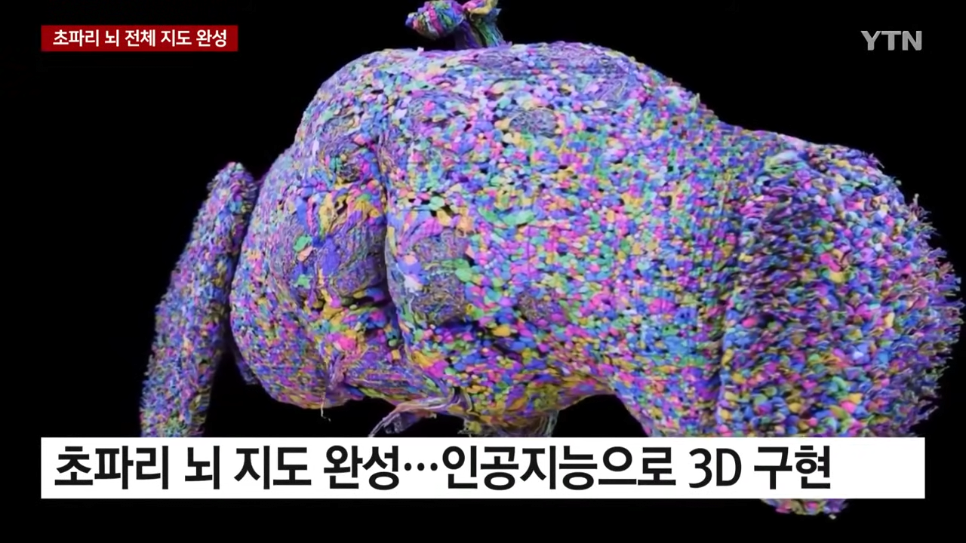 초파리 뇌 전체 지도 완성했다