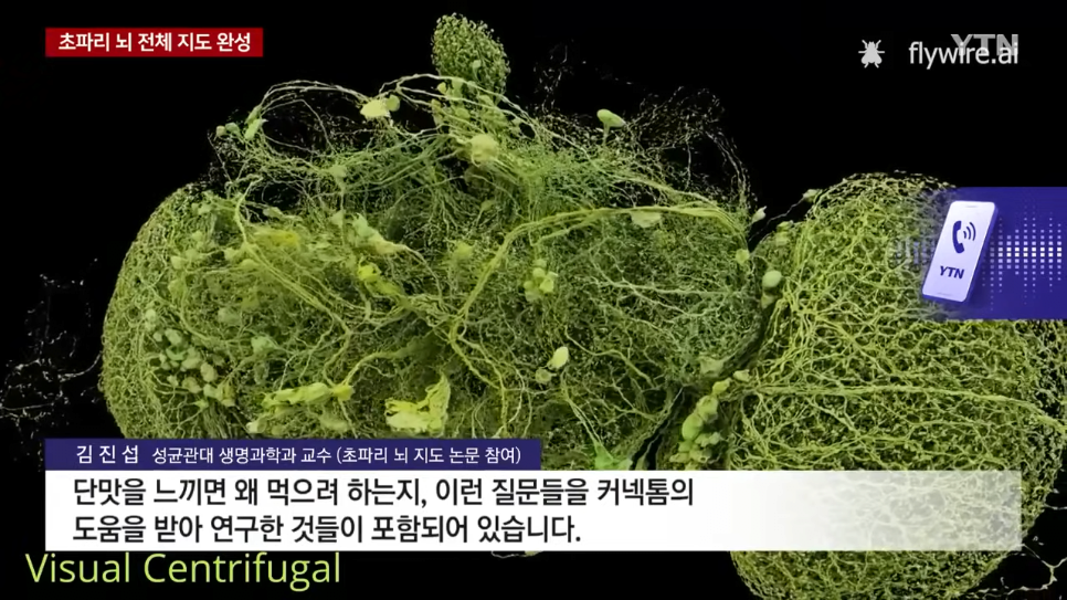 초파리 뇌 전체 지도 완성했다