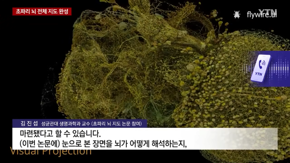 초파리 뇌 전체 지도 완성했다