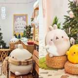 순천에 나타난 거대 토끼!  몰랑하우스