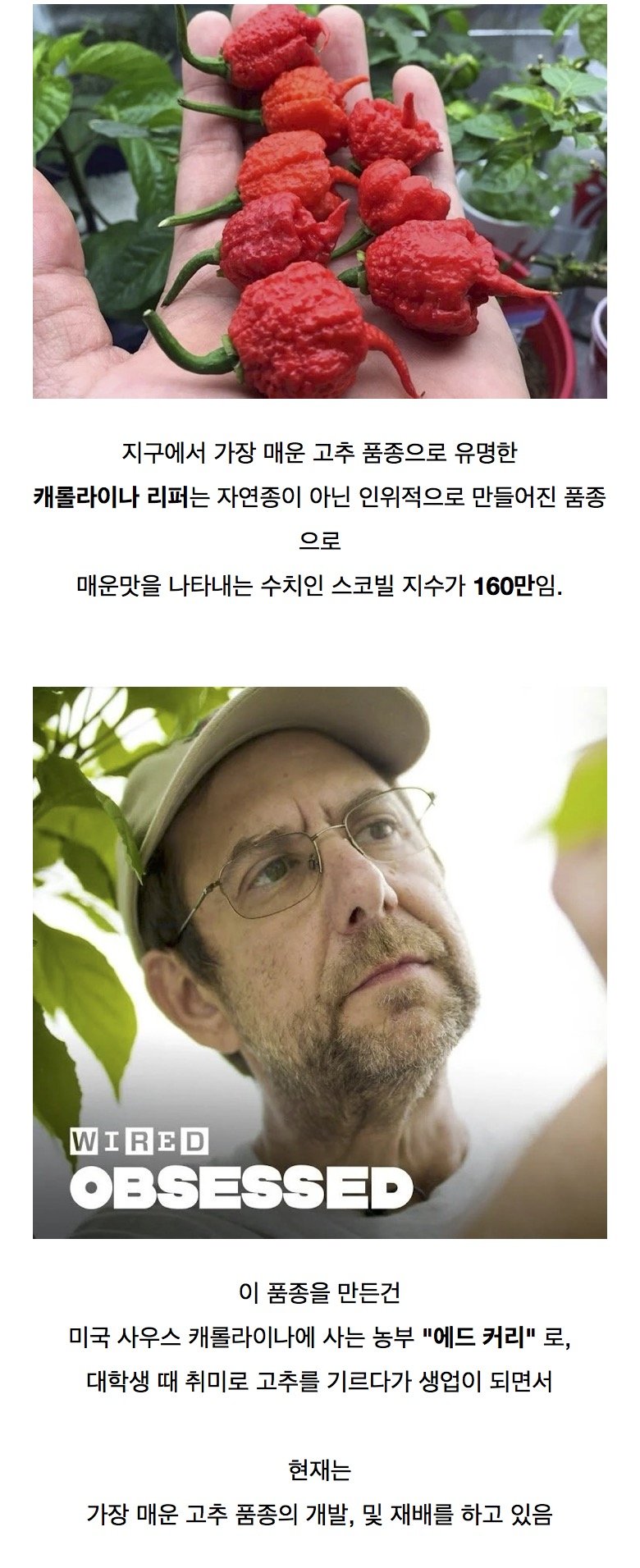 김짤.com_001.jpg