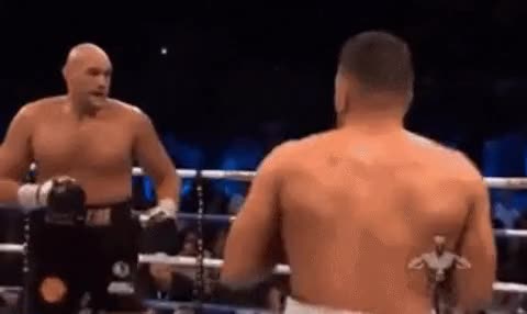 4.gif